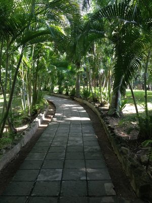 the path to the boathouse